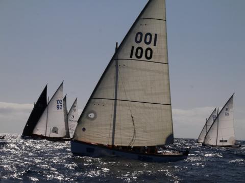 Vela. Copa Federación. Lanzarote/ canariasnoticias Vela. Copa Federación. Lanzarote/ canariasnoticias
