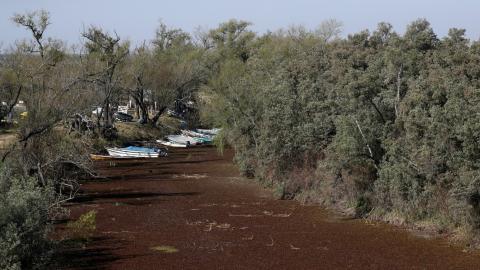 Botes varados en un humedal seco en la orilla del río Paraná, en Rosario, Argentina, el 8 de julio de 2021