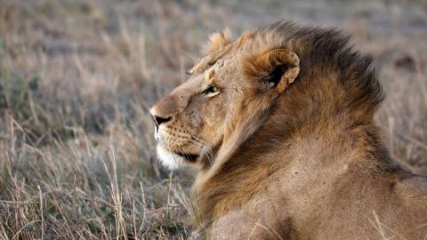 / Baz Ratner (Reuters)