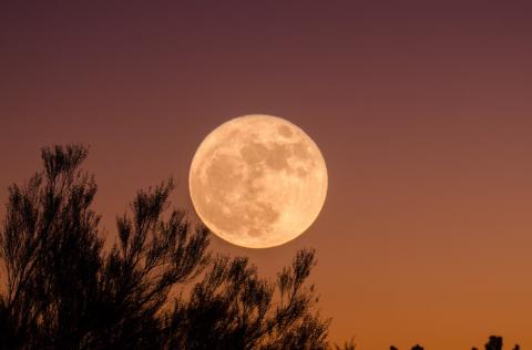 Imagen ilustrativa Luna