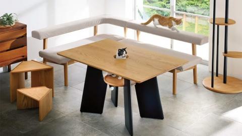 Mesa de comedor para gatos / Dinos Mesa de comedor para gatos