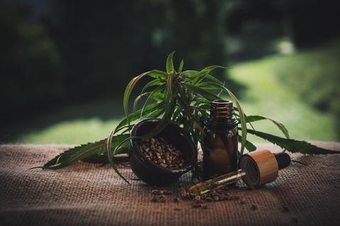 ¿Qué es el aceite de CBD?