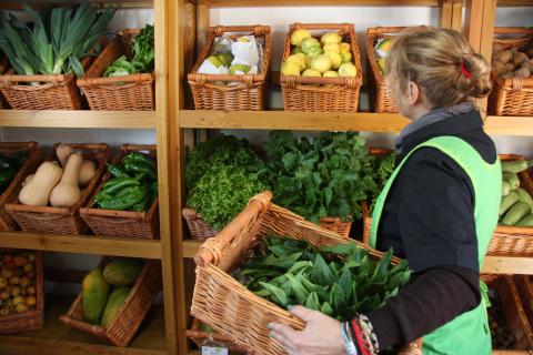 Mercado Ecológico “EcoValles” de Valleseco / CanariasNoticias.es