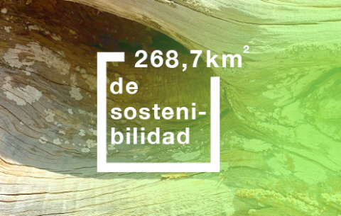El Hierro Recicla El Hierro Recicla