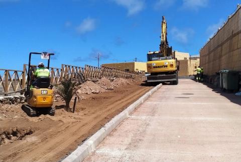 Plantación del entorno de La Guancha en Gáldar / CanariasNoticias.es