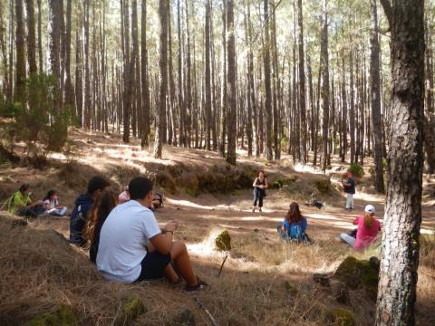 Rutas de la Naturaleza. Granadilla de Abona/ canariasnoticias