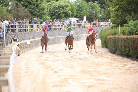 Carrera de caballos en La Laguna de Valleseco (Gran Canaria) / CanariasNoticias.es Carrera de caballos en La Laguna de Valleseco (Gran Canaria) / CanariasNoticias.es
