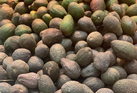 Aguacates incautados Aguacates incautados