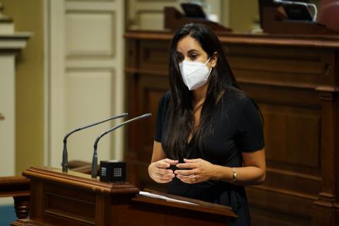 Vidina Espino, en el Parlamento de Canarias / CanariasNoticias.es