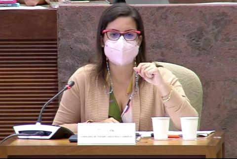 Yaiza Castilla, consejera de Turismo de Canarias / CanariasNoticias.es Yaiza Castilla, consejera de Turismo de Canarias / CanariasNoticias.es