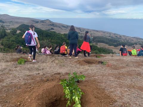 Repoblación forestal de Montaña de Ajonce (El Hierro) / CanariasNoticias.es Repoblación forestal de Montaña de Ajonce (El Hierro) / CanariasNoticias.es