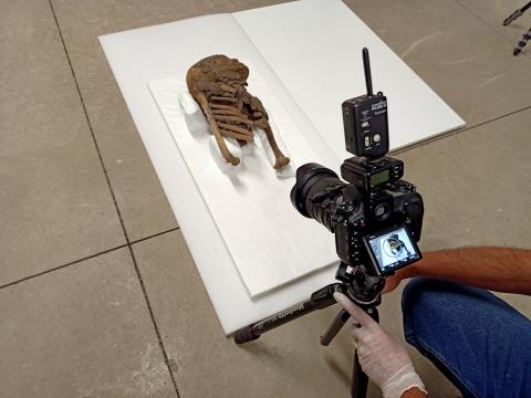 Documentación en 3D de restos humanos de los guanches / CanariasNoticias.es Documentación en 3D de restos humanos de los guanches / CanariasNoticias.es