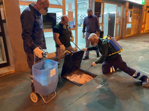 Control de Plagas. Las Palmas de Gran Canaria/ canariasnoticias.es Control de Plagas. Las Palmas de Gran Canaria/ canariasnoticias.es