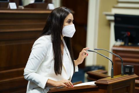 Vidina Espino, portavoz del Grupo Mixto en el Parlamento de Canarias / CanariasNoticias.es Vidina Espino, portavoz del Grupo Mixto en el Parlamento de Canarias / CanariasNoticias.es