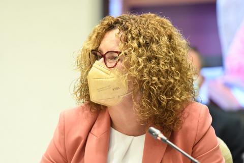 Nieves Hernández, consejera del Cabildo de La Palma / CanariasNoticias.es Nieves Hernández, consejera del Cabildo de La Palma / CanariasNoticias.es