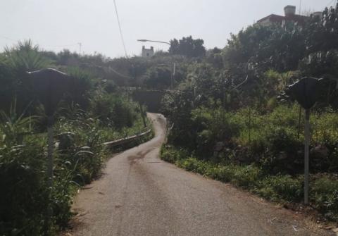 Los Cantos Las Casillas. Teror. Gran Canaria/ canariasnoticias.es Los Cantos Las Casillas. Teror. Gran Canaria/ canariasnoticias.es