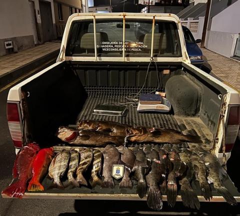 Incautación de pescado ilegal en El Hierro / CanariasNoticias.es Incautación de pescado ilegal en El Hierro / CanariasNoticias.es