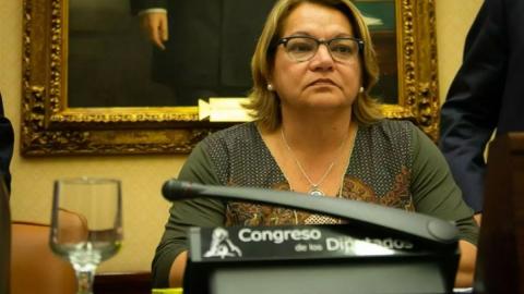 Meri Pita/ canariasnoticias.es Meri Pita/ canariasnoticias.es