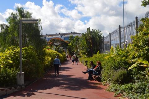 Parque de San Juan en Telde (Gran Canaria) / CanariasNoticias.es Parque de San Juan en Telde (Gran Canaria) / CanariasNoticias.es