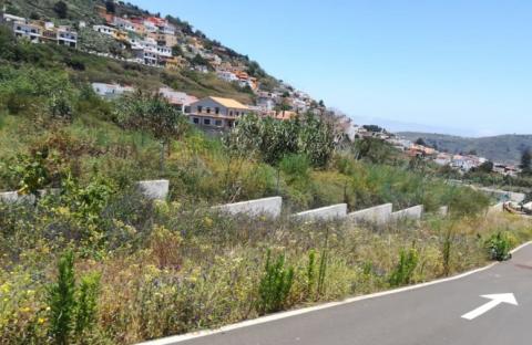 Proyecto para construir 20 viviendas protegidas en Teror / CanariasNoticias.es