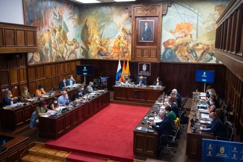 Pleno del Cabildo de Gran Canaria / CanariasNoticias.es