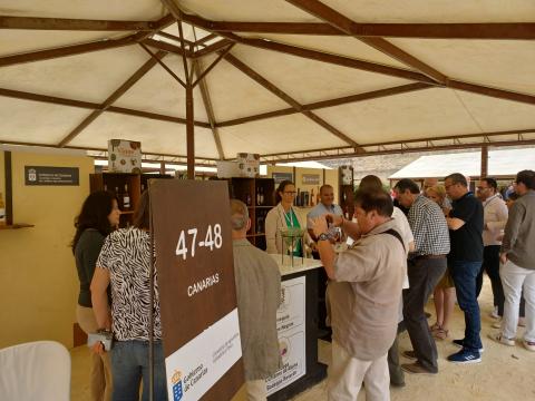 Stand de Canarias en la Feria Vinoble de Jerez de la Frontera / CanariasNoticias.es