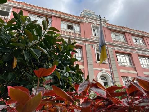 Consejería de Sanidad del Gobierno de Canarias / CanariasNoticias.es Consejería de Sanidad del Gobierno de Canarias / CanariasNoticias.es