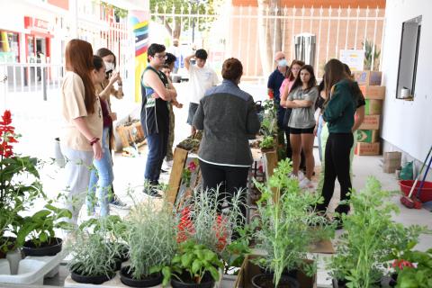 Los jóvenes de Valsequillo realizan un jardín vertical / CanariasNoticias.es 