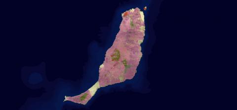 Grafcan actualiza el mapa de vegetación de Fuerteventura Grafcan actualiza el mapa de vegetación de Fuerteventura