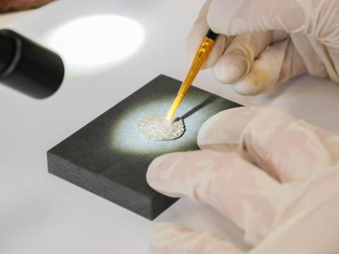 Identificadas una de las monedas más antiguas de Canarias Identificadas una de las monedas más antiguas de Canarias