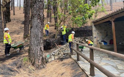 Área Recreativa del Refugio de El Pilar (La Palma) / CanariasNoticias.es Área Recreativa del Refugio de El Pilar (La Palma) / CanariasNoticias.es