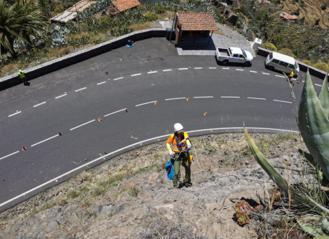 Eliminación de especies vegetales invasoras en La Gomera / CanariasNoticias.es