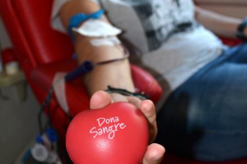 Donante de sangre del ICHH / CanariasNoticias.es Donante de sangre del ICHH / CanariasNoticias.es