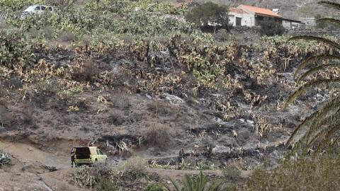 Medio rural/ canariasnoticias.es