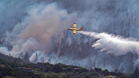 Incendio de Tenerife / CanariasNoticias.es