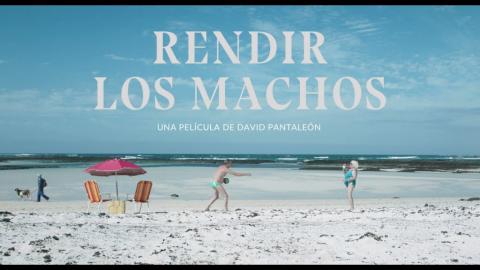 Festivalito La Palma/ canariasnoticias.es