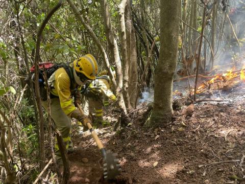 Equipos de intervención y refuerzo en incendios forestales (EIRIF) en Canarias / CanariasNoticias.es Equipos de intervención y refuerzo en incendios forestales (EIRIF) en Canarias / CanariasNoticias.es