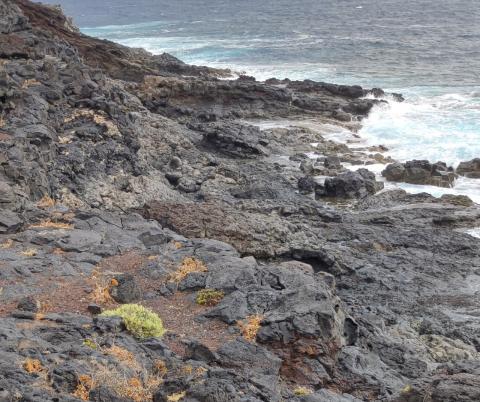 Proyecto Ecoáreas Mardetodos, El Hierro/ canariasnoticias.es