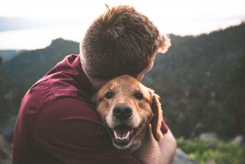 Querida mascota, aunque ya no estés, te llevo muy cerca de mi