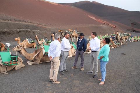 Paseos en camello en el Parque Nacional de Timanfaya (Lanzarote) / CanariasNoticias.es