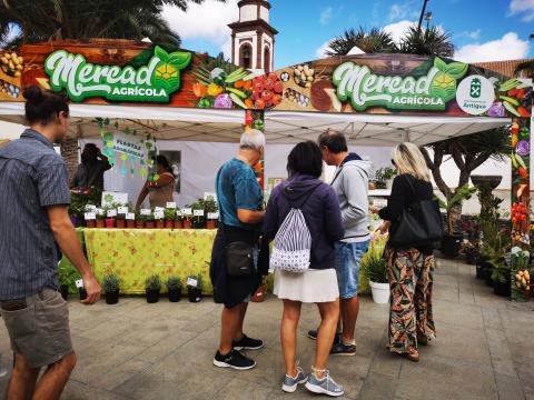 Mercado Agrícola de Antigua (Fuerteventura) / CanariasNoticias.es