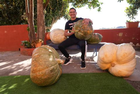 Vecino de Valleseco dona dos calabazas de más de 70 kilos / CanariasNoticias.es Vecino de Valleseco dona dos calabazas de más de 70 kilos / CanariasNoticias.es
