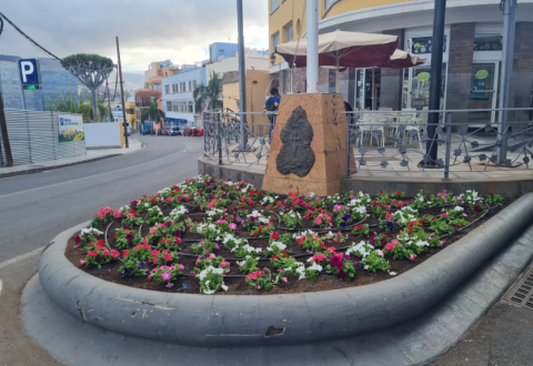 Plantación en jardines de Gáldar / CanariasNoticias.es Plantación en jardines de Gáldar / CanariasNoticias.es