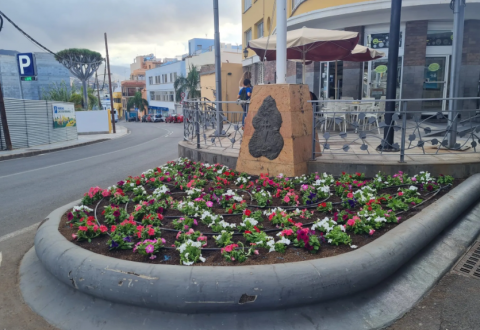 Plantación en jardines de Gáldar / CanariasNoticias.es