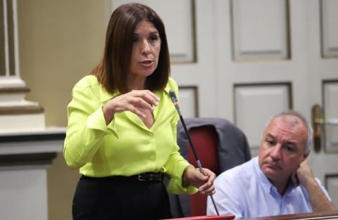 Carmen Hernández en el Parlamento de Canarias / CanariasNoticias.es Carmen Hernández en el Parlamento de Canarias / CanariasNoticias.es