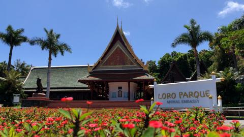 Loro Parque