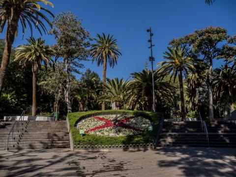 Rutas turísticas de Santa Cruz de Tenerife / CanariasNoticias.es