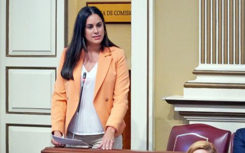 Vidina Espino, en el Parlamento de Canarias / CanariasNoticias.es Vidina Espino, en el Parlamento de Canarias / CanariasNoticias.es