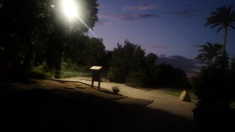 Luminarias en los parques de Jinámar / CanariasNoticias.es Luminarias en los parques de Jinámar / CanariasNoticias.es