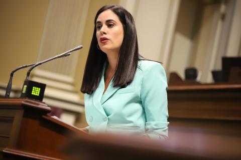 Vidina Espino, en el Parlamento de Canarias / CanariasNoticias.es